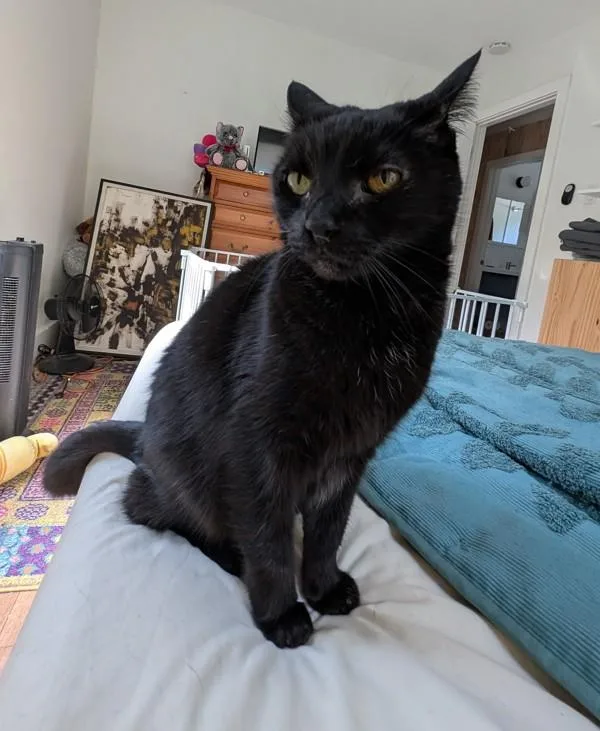 Bonnie Mae thumbnail 4