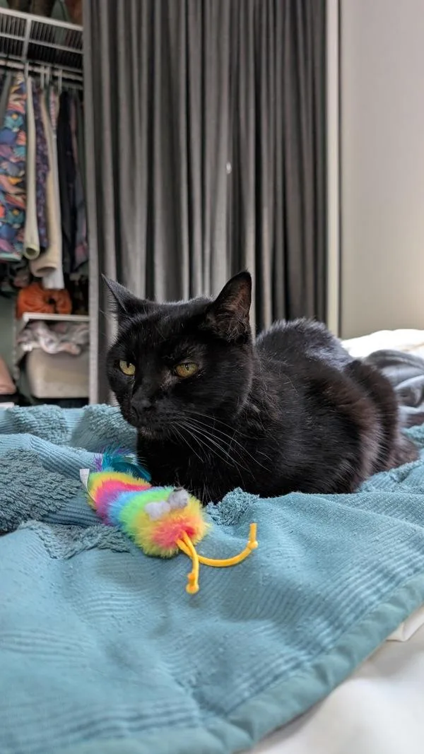 Bonnie Mae thumbnail 5