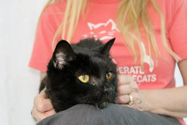 Bonnie Mae thumbnail 6