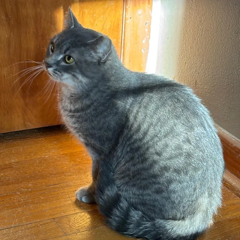 Triscuit Worley thumbnail 2