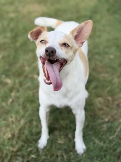 Coco