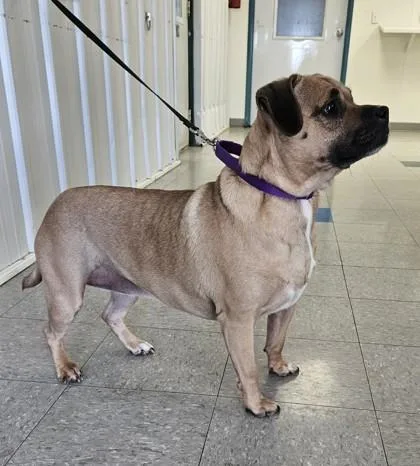 Little Debbie thumbnail 4