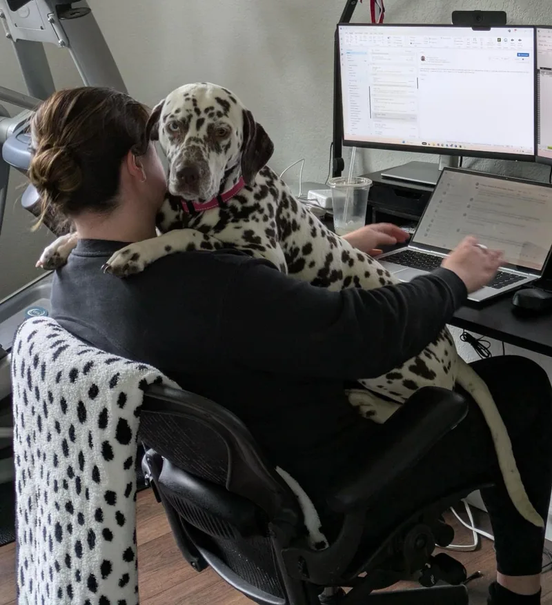 Mangonevada City  Ca