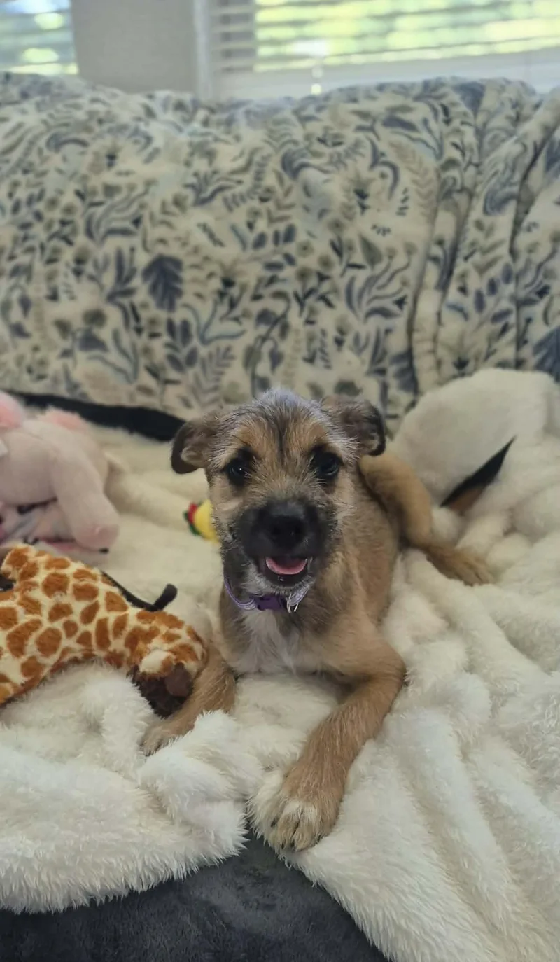Andy thumbnail 4