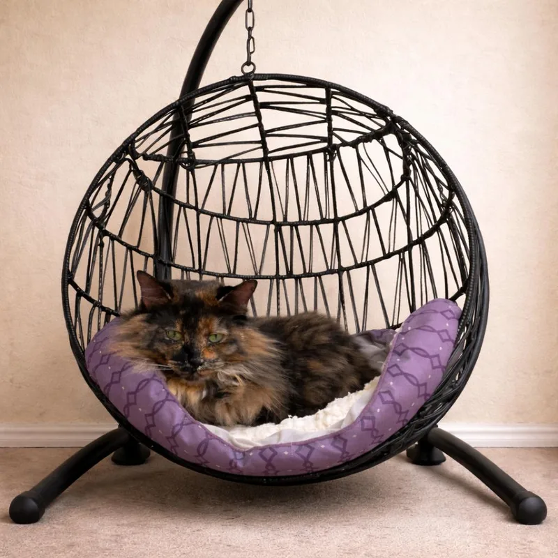 Charlotte: Soft Fur  thumbnail 3