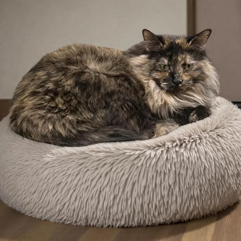 Charlotte: Soft Fur  thumbnail 6