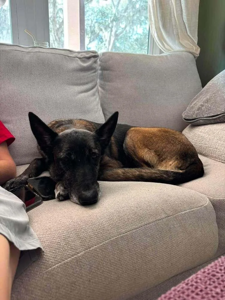 Ellie  Located in thumbnail 2