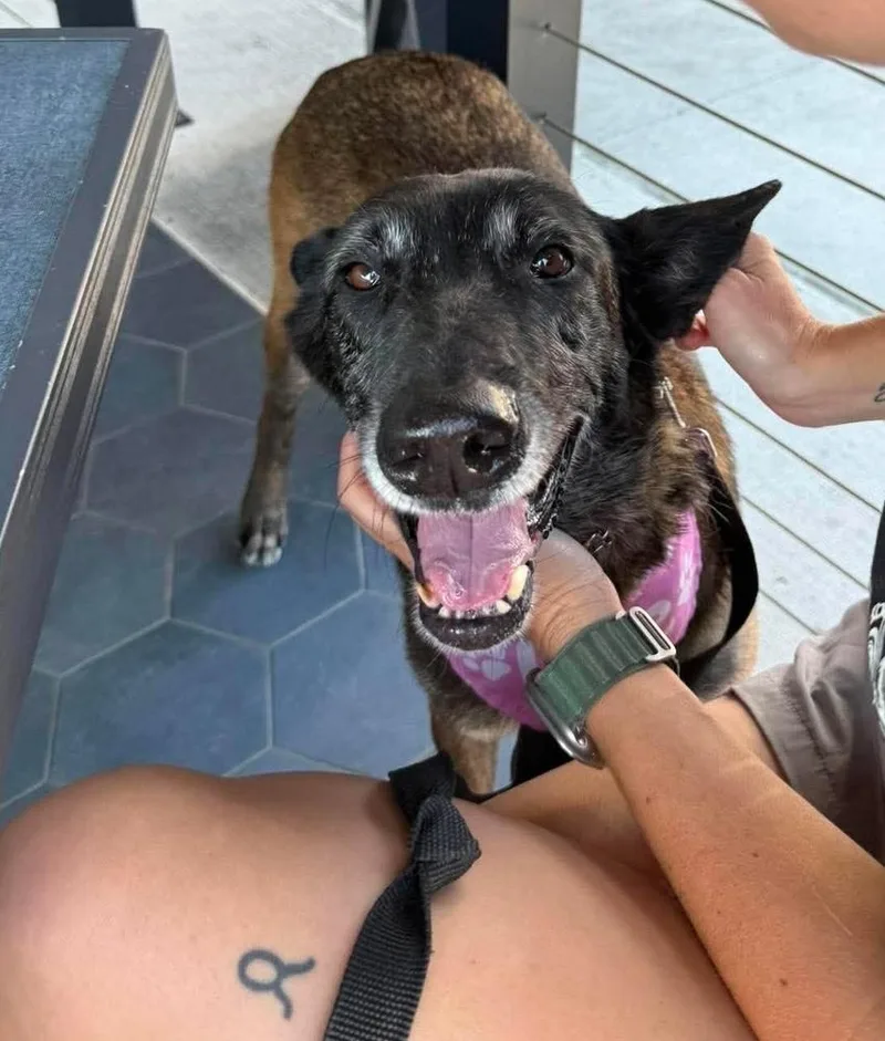 Ellie  Located in thumbnail 3