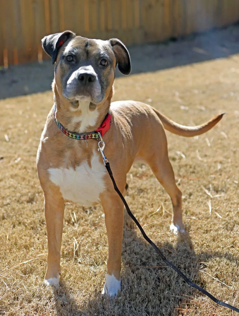 Otis Lizman thumbnail 2