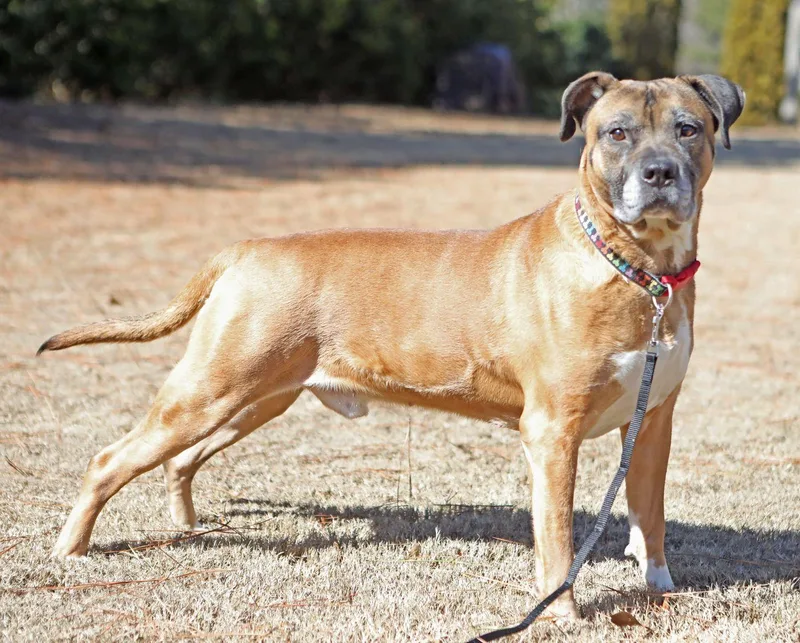 Otis Lizman thumbnail 3