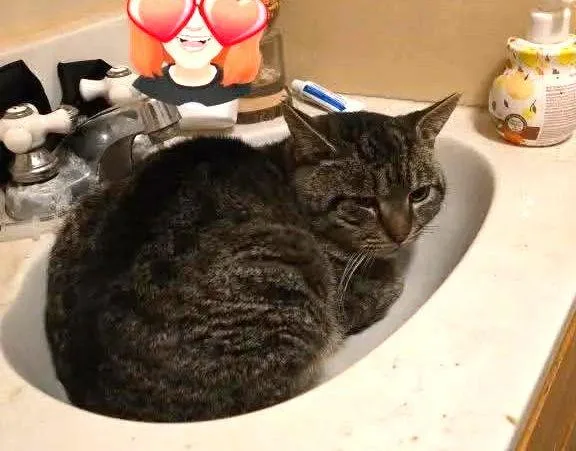 Roscoe  Nc thumbnail 2