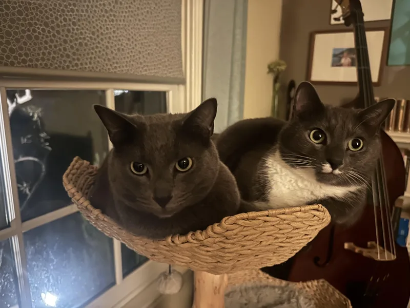 Aspen & Monty thumbnail 3