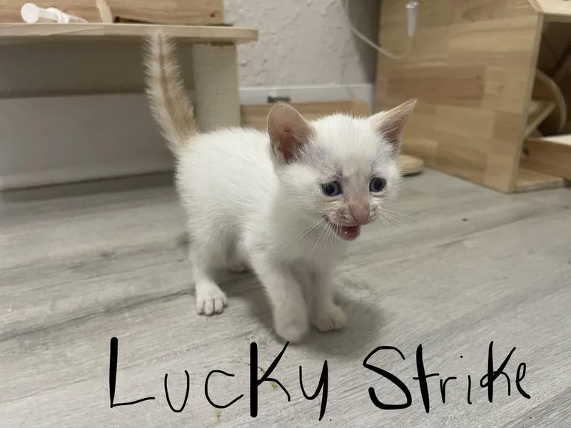Lucky Strike