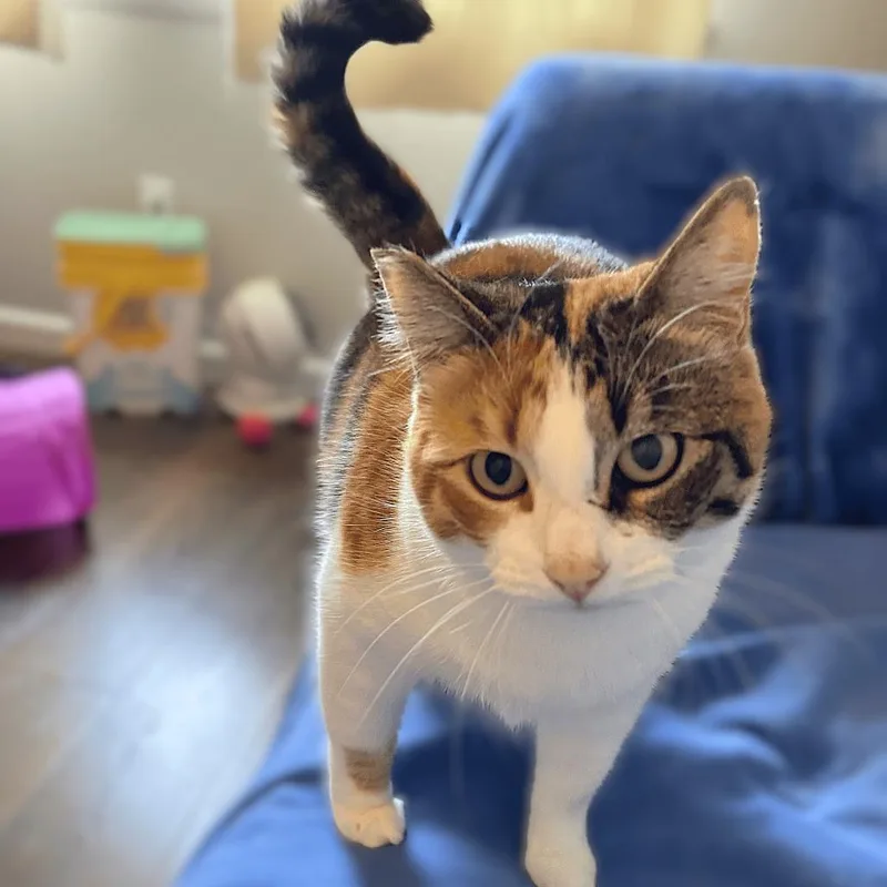 Mamacita thumbnail 6