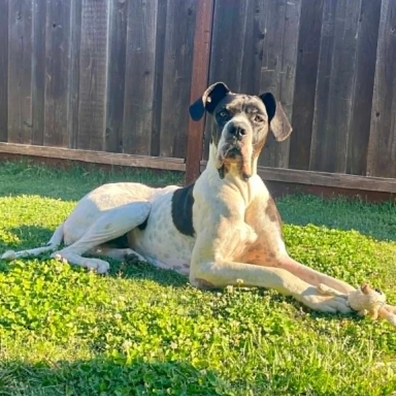 Marley Mae thumbnail 4