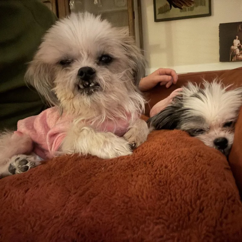 Anna Banana Bonded With