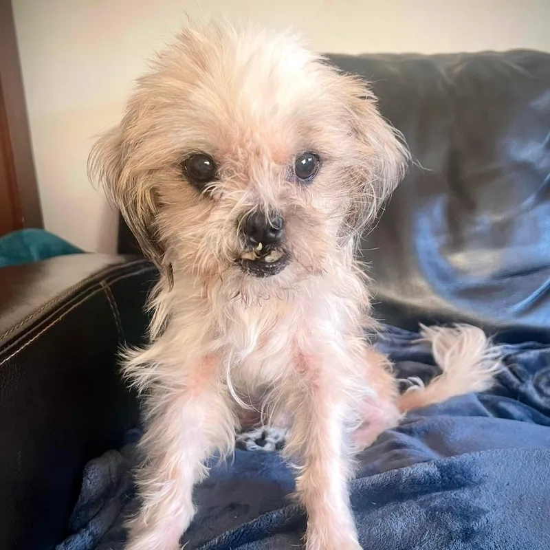 Anna Banana Bonded With thumbnail 3