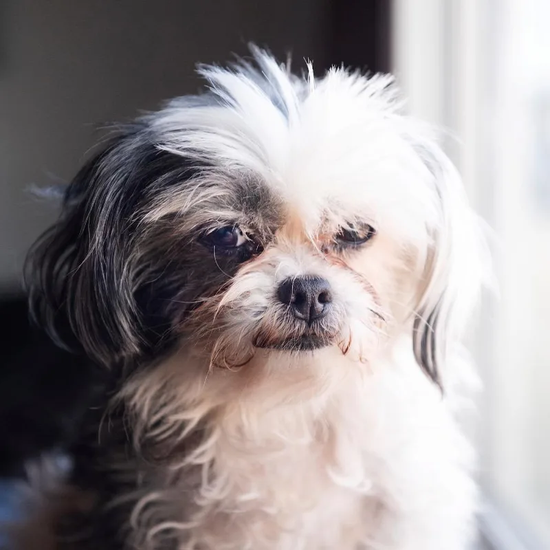 Anna Banana Bonded With thumbnail 5