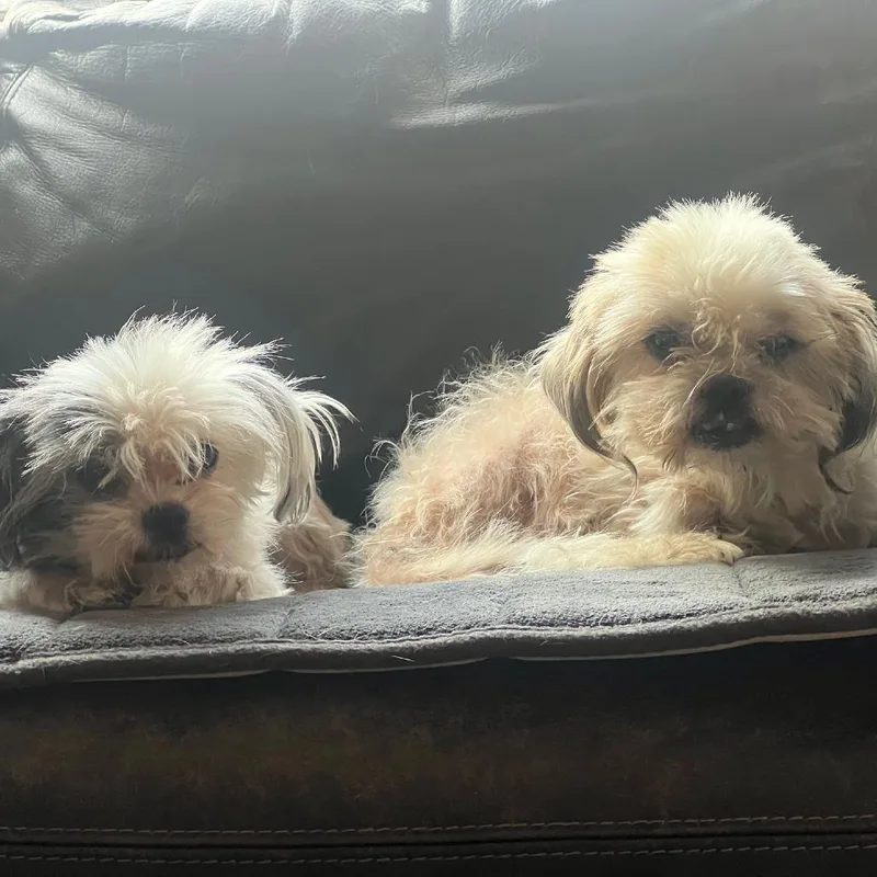 Anna Banana Bonded With thumbnail 6