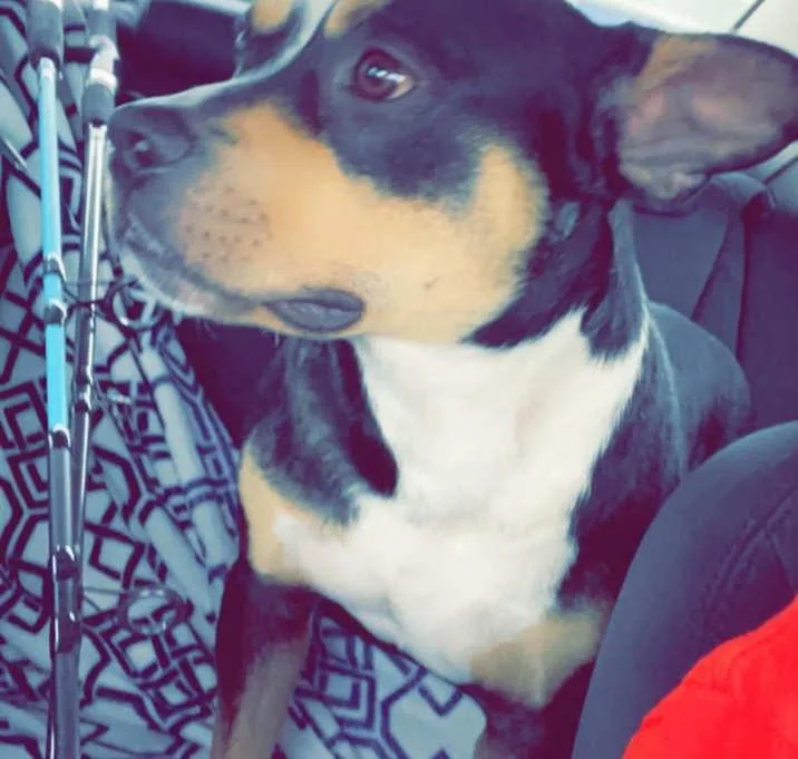 Baxter