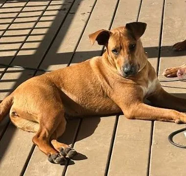 Samantha Aka "sammy" thumbnail 2