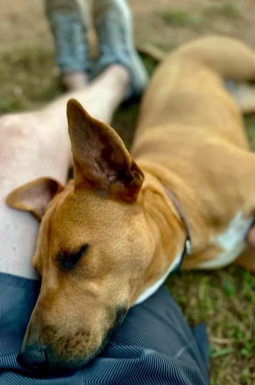 Samantha Aka "sammy" thumbnail 3