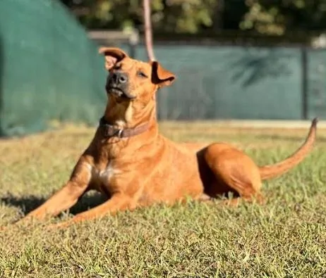 Samantha Aka "sammy" thumbnail 4