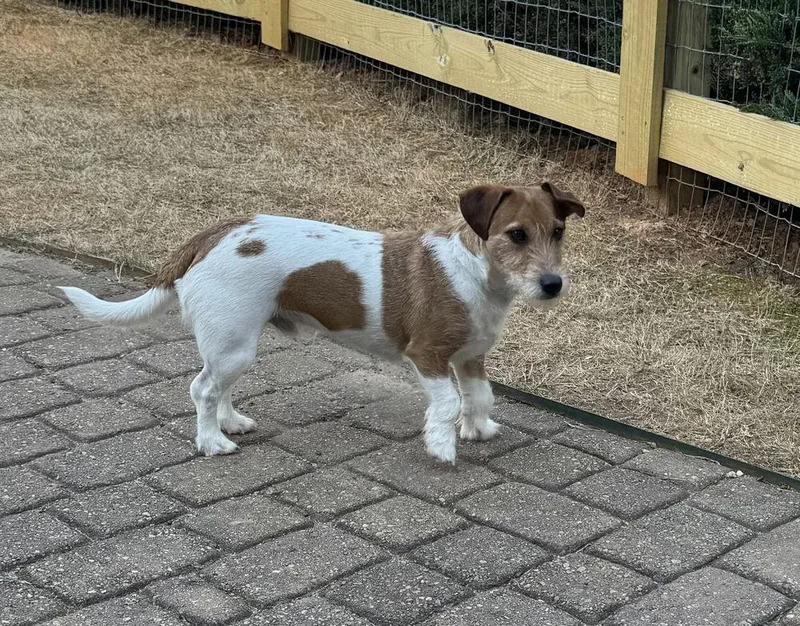 Yen & Yang thumbnail 2