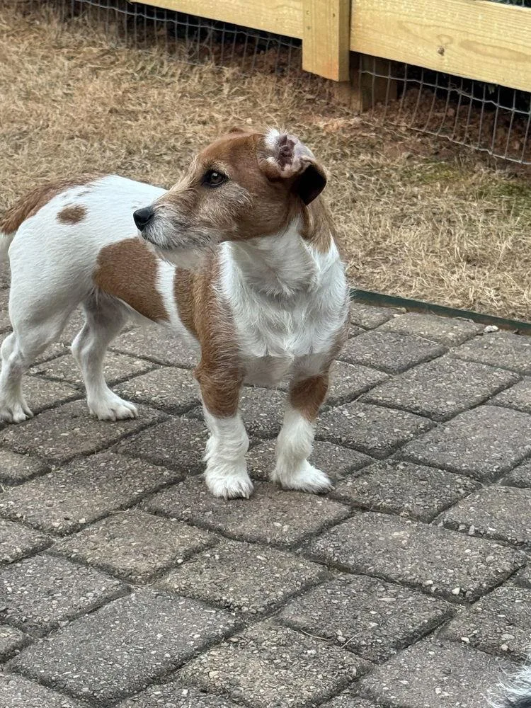 Yen & Yang thumbnail 3