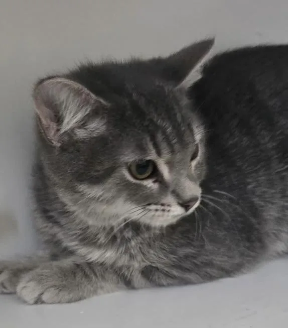 Bette has RBF thumbnail 2