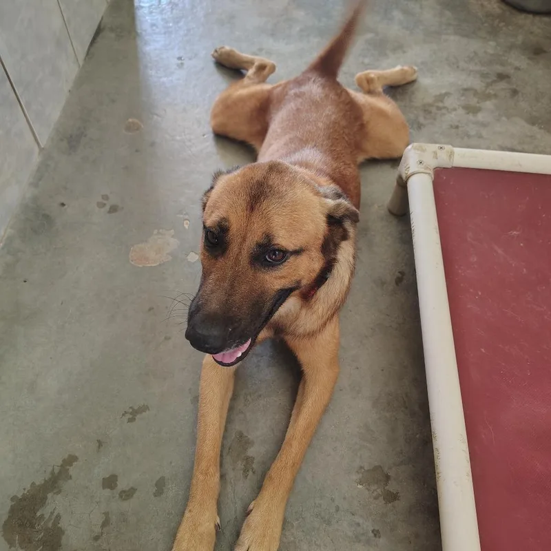 Jimmy Cliff thumbnail 2