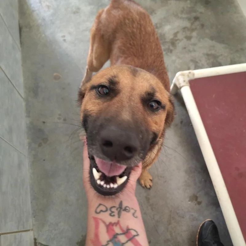 Jimmy Cliff thumbnail 3