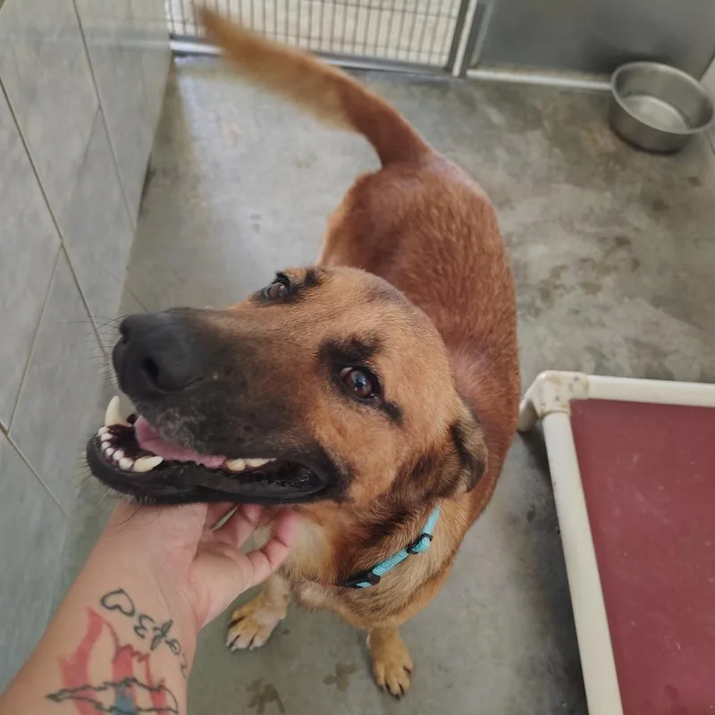 Jimmy Cliff thumbnail 4