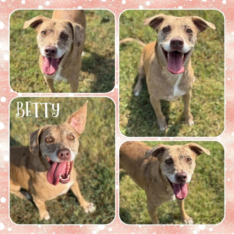 Betty thumbnail 2