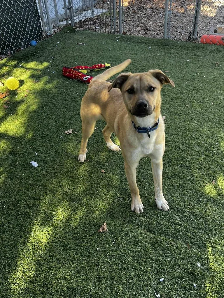 Jethro Bodine thumbnail 3