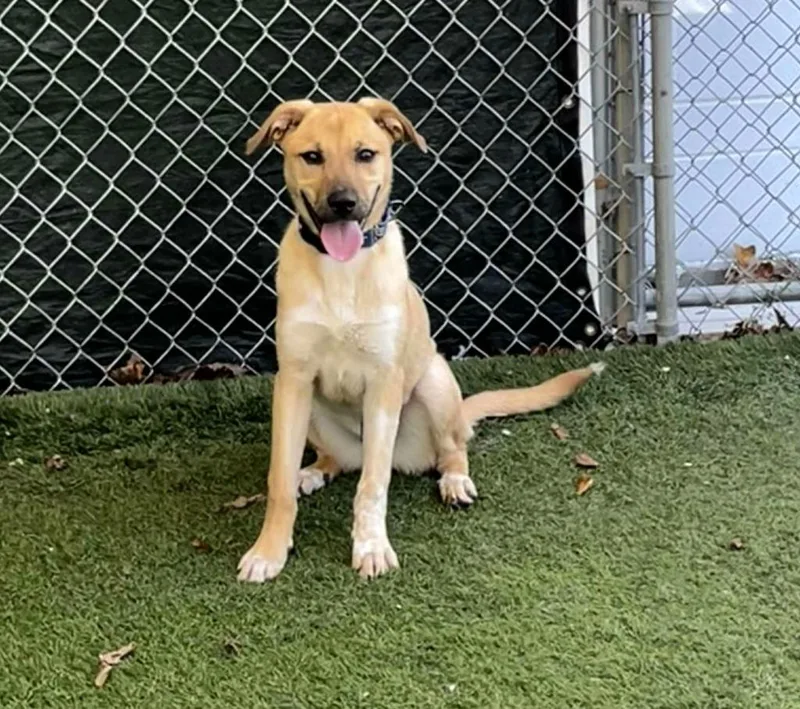 Jethro Bodine thumbnail 4