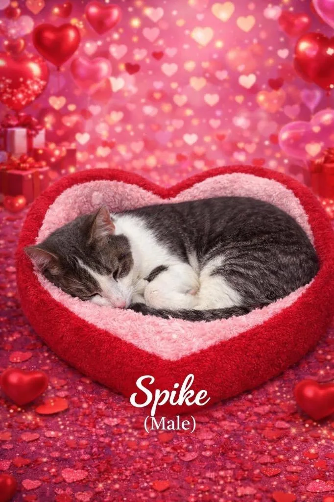 Spike