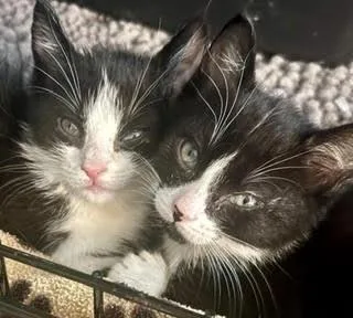Sophie And Sinclair thumbnail 2