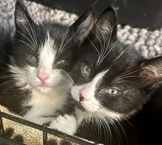 Sophie And Sinclair thumbnail 3