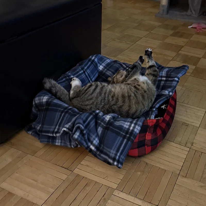 Jake  Riley Fuzzel thumbnail 2