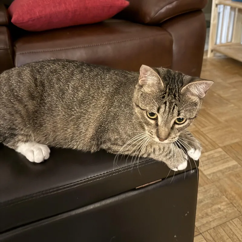 Jake  Riley Fuzzel thumbnail 3