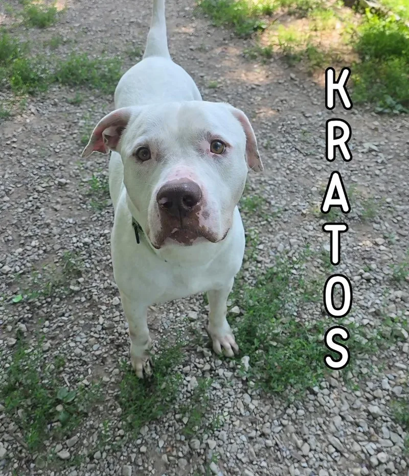 Kratos thumbnail 2