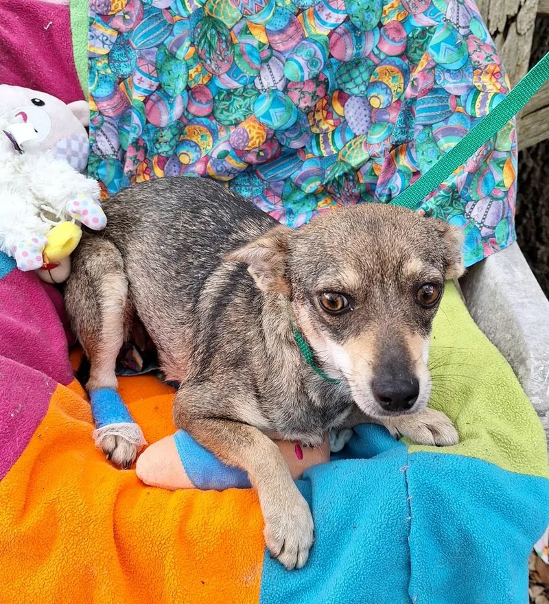 Sarese Mvt thumbnail 3