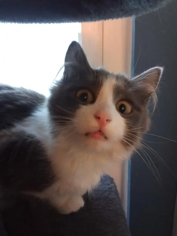 Maths: Hypotenuse Part Of thumbnail 3