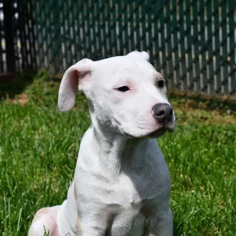 Kingsley thumbnail 2