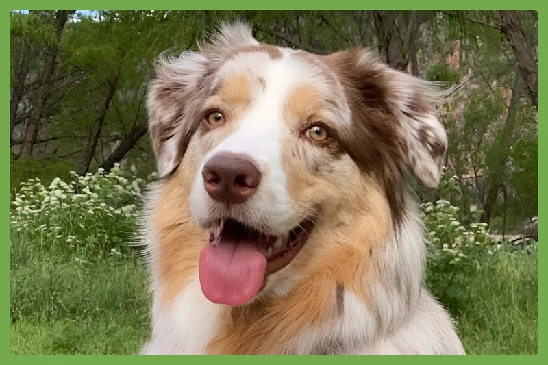 Cooper thumbnail 2