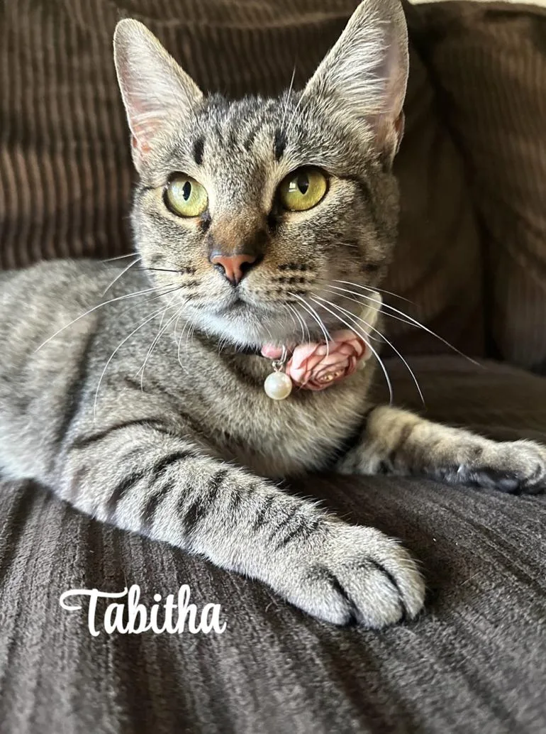 Tabitha