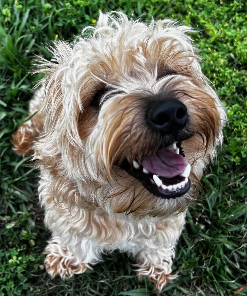 Jefferson thumbnail 2