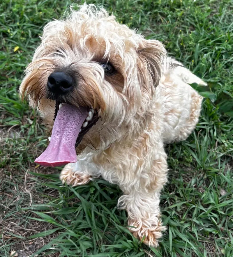 Jefferson thumbnail 3