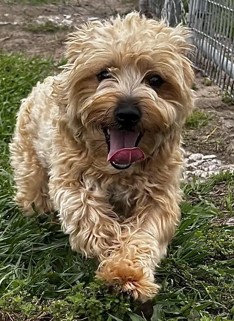 Jefferson thumbnail 4